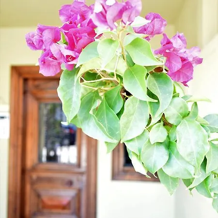 Anastasiadis House