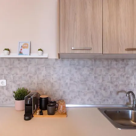 Anastasiadis House Apartmán Neos Marmaras